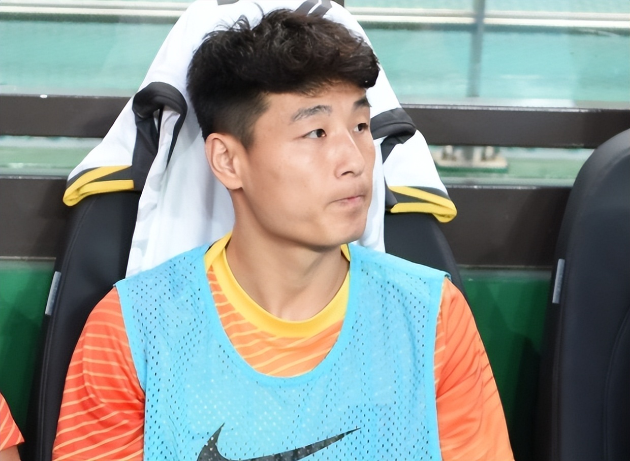它们不仅是