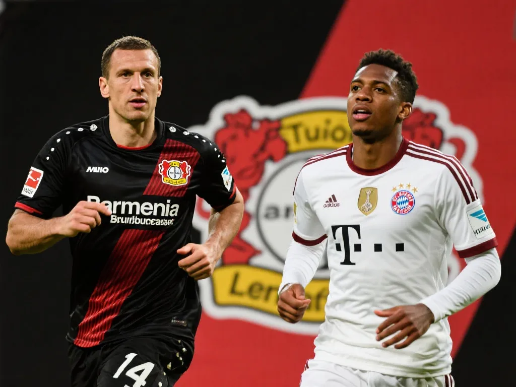 深了品牌与 深了品牌与